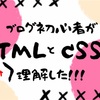 やっと！ブログ記事内を華やかにすることができました！【初心者がぶつかる壁、CSSとHTML】