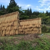 準備運動してからね