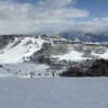 2月のまとめ　（2025-W06〜W09）