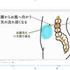 悩みがフリーズするのも腰抜けが原因
