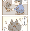 第26話「風邪をひいた仔猫との出会い その3」猫漫画