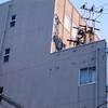 【福島県】シルクホテル＜福島県＞の基本情報・アクセス・料金・口コミまとめ