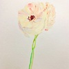 日々絵「 full bloom 」03.02.21