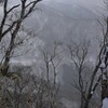 雪の白髪山遊山　森を歩く