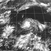 屋久島カレー事情 第68回 台風に勝てるものかはカツカレー