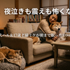 【介護疲れの救世主】15歳老犬の異常な震えと、17歳老猫の夜泣きがピタリ…。睡眠不足の私が救われた「お守り」アイテム3選
