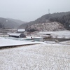 静岡で雪！？飼い犬の野生感がハンパない