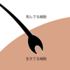 大人女性は絶対知るべきヘアケアの本質とは？