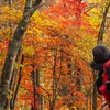 紅葉の八ヶ岳を歩く 西岳～編笠山