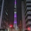 もう、半ば！　今宵のスカイツリー🌃