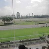 新潟競馬