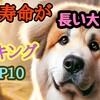 平均寿命が長い大型犬ランキング