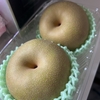 シベリアにて