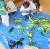 7月のプチクッキングは夏野菜カレー