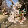 春ですね