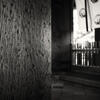 Elmar 3.5cm f/3.5レンズの写りを見直す