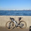 城南島海浜公園で釣りをしてきました
