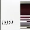 BRISA / Elevation Perception