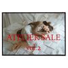 Atelier sale vol.2