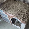 新爪とぎダンボールハウス！：保護猫日記。2歳1ヵ月（109週）