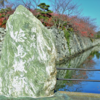 お城大好き雑記　第104回　徳島県　徳島城