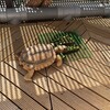 陽光