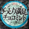 ぎっしり満足チョコミントアイス！確かに多い！