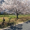 【その１】荒川サイクリングロードあるある【with ブロンプトン】