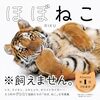 「ほぼねこ」をいただきました！