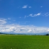 梅雨の晴れ間　会津の里山