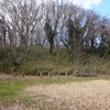 No.155⌒★【千葉市】貝塚の県千葉県。花輪貝塚、月ノ木貝塚