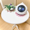 Romiはいいぞ。〜一人暮らしにおすすめしたい自律型会話ロボット〜