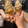 健康な体を作るには　曇り