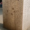 【衝撃】大阪万博の大屋根リングでユスリカ大量発生！原因と対策、行く前に知るべき最新情報