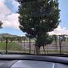 「持ち場」を守る