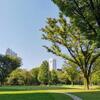 【ドラクエ9】2025年 10月13日　新宿 宝の地図配布会告知