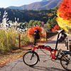 ブロンプトンを連れて紅葉の富士吉田～河口湖畔を散策してきた。