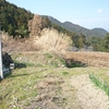 敷きわら用の茅刈り完了◆今年分を確保