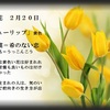 誕生花　２月２０日