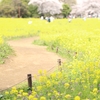 こんなに良い天気なのに～