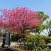 周りが見えても、自分が見えない