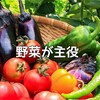 野菜ってこんなに美味しかった？子供たちがモリモリ食べた野菜が凄い✨二日目のメニュー