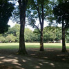 砧公園