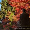 【長安寺】『五百羅漢』と紅葉のコラボ! 秋の箱根・仙石原のお寺を参拝