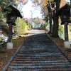 手長神社の御柱