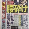 「桜を見る会　安倍氏の国会答弁を振り返る」と「フランス人が感じた日本の『自由』（ドラの視点）」