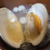 ボンビノス貝のお吸い物。
