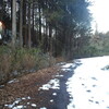 残雪深くなる矢白林道
