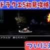 【週刊まとめ】はぐれメタル挑戦・双子誕生・ゲマ再来…物語と仲間集めが激動する週｜ドラクエⅤ PS2版 #22〜#29