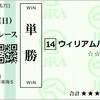 2024年　東海ステークス、アメリカジョッキークラブカップ　予想